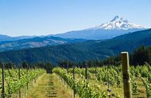 Columbia River Gorge Waterfall Tour from Portland