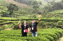 Flexible Hangzhou Private Tour from Shanghai by Bullet Train