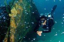 Ex- HMAS Swan Wreck Double Boat Dive 
