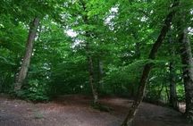 Private Tour to Tsaghkadzor, Sevan and Dilijan