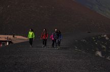 Mt. Etna trekking and Wine tasting - From Syracuse