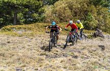 Full circuit of Etna by MTB small group