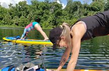 Florida Freshwater Springs Paddle Board Tour