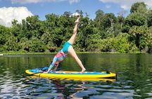 Florida Freshwater Springs Paddle Board Tour