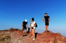 Mount Etna nature and flavors half day Tour from Taormina