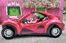 Cozumel Buggy Tour: Snorkeling , Otoch Mayan Experience & Lunch