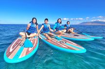 Stand Up Paddle Boarding Tour in Turtle Town, Maui