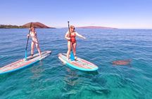Stand Up Paddle Boarding Tour in Turtle Town, Maui