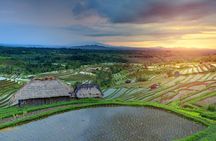 Discover Hidden Waterfall, Unesco Rice Terraces and Mountain Temple