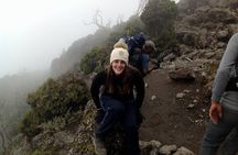 7-Day Lemosho Route Hiking in Kilimanjaro