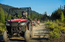 Off-Road Buggy Adventure