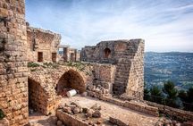 Full-Day Private Tour to Ajloun Castle and Pella