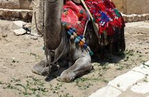 From Hurghada to Pyramids of Giza, Egyptian Museum, Lunch & Guide