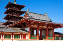 Osaka 6hr Instagram Highlights Private Tour with Licensed Guide