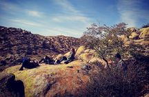 Huhhot 4D3N Inner Mongolia Grassland and desert nature tours