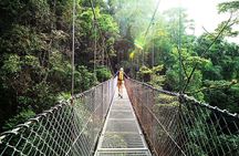 Combo: Day Trip to Hanging Bridges + ZipLine in Monteverde