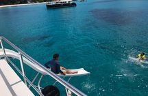 Barbados Turtle and Shipwreck Snorkel Adventure