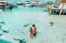 Exuma Full Day Swimming Pigs Group Boat Tour 