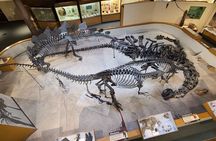 Utah & Arizona National Parks: Small Group 7-Day Tour