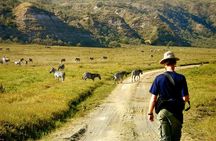 Day tour to Hell's gate and optional boat ride at lake naivasha 
