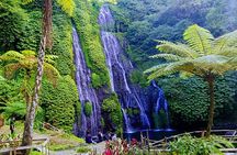 Wonderful Trip to Bali Paradise Banyumala Waterfall And Twin Lake
