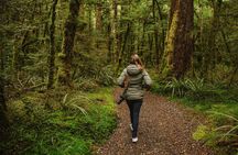 Guided Private Milford Sound Day Tour from Te Anau(Cruise Included)