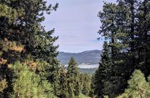 A Local's Favorite Hike in Big Bear with Lake Swimming Experience