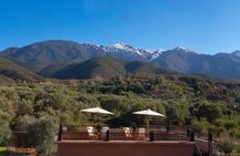 All in One - Special Day With the Berbers - Atlas Mountains