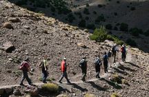 All in One - Special Day With the Berbers - Atlas Mountains