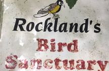 Rockland Bird Sanctuary Private Tour 