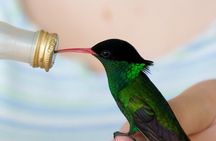 Rockland Bird Sanctuary Private Tour 