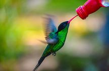 Rockland Bird Sanctuary Private Tour 