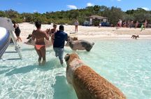 Exuma Swimming Pigs Full Day Boat Tour 