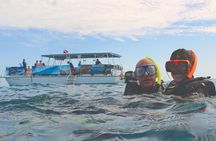 Dolphin Watching and Snorkeling Adventure in Key West