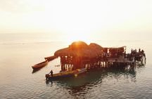 Private Tour to YS Falls, Appleton Rum Tour and Pelican Bar from Montego Bay