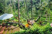 One Day Tour Tegalalang Rice Terrace And Gunung Kawi Temple