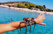 Private Blue Cave Tour from Split, Brač, Trogir and Hvar