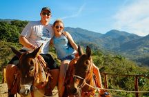 Combo Atv, Zipline and Mules