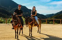 Combo Atv, Zipline and Mules