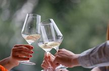 Winery Tour and Tasting of Garda Wines in Lazise