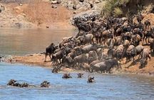 3-Day Private Budget Safari to Serengeti Np and Ngorongoro Crater