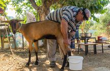 Full-Day Small-Group Tour in Crete & the paths of Zeus Cave