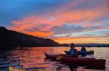 Nickajack Bat Cave Kayak Tour