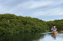 2 Hours of Kayak Safari in Bahía de La Paz