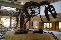 Utah Mighty 5 National Parks: Small Group 5-Day Tour