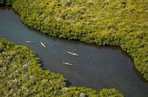 2 Hours of Kayak Safari in Bahía de La Paz