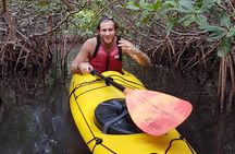 2 Hours of Kayak Safari in Bahía de La Paz