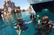 Los Cabos Beginner Scuba Dive Experience