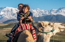 Atlas Mountains and Camel Ride day trip