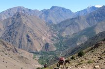 Mount Toubkal Trek-2 day